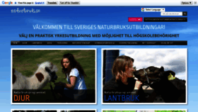 What Naturbruk.se website looked like in 2019 (4 years ago)