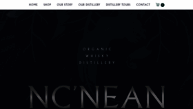 What Ncnean.com website looked like in 2019 (4 years ago)