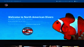 What Nadivers.com website looked like in 2019 (4 years ago)