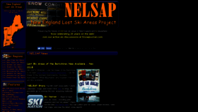 What Nelsap.org website looked like in 2019 (4 years ago)
