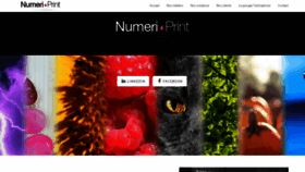 What Numeri-print.com website looked like in 2019 (4 years ago)