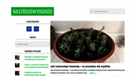 What Nastrojowyogrod.pl website looked like in 2019 (4 years ago)