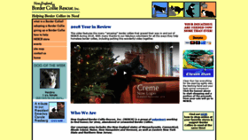 What Nebcr.org website looked like in 2019 (4 years ago)