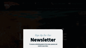 What Nedive.com website looked like in 2019 (6 years ago)