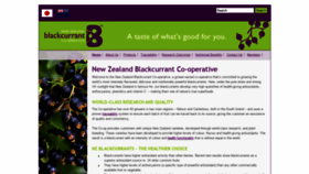 What Nzblackcurrants.com website looked like in 2019 (4 years ago)