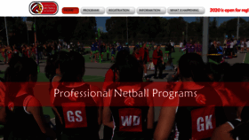 What Netballacademy.sg website looked like in 2019 (4 years ago)