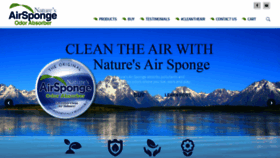 What Naturesairsponge.com website looked like in 2019 (4 years ago)