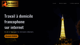 What Net-emploi.fr website looked like in 2019 (4 years ago)