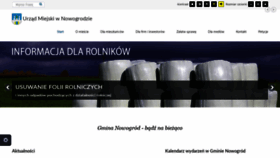 What Nowogrod.com website looked like in 2019 (4 years ago)