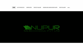 What Nupurmineral.com website looked like in 2019 (4 years ago)