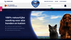 What Natuurlijkrenske.nl website looked like in 2019 (4 years ago)