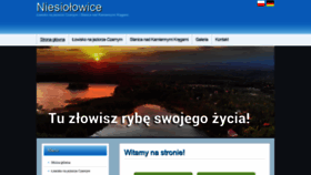 What Niesiolowice.com website looked like in 2019 (4 years ago)
