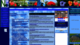 What Nickerie.net website looked like in 2019 (4 years ago)