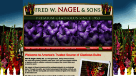 What Nagelglads.com website looked like in 2019 (4 years ago)