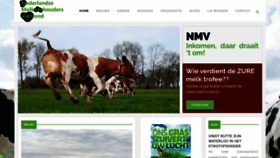 What Nmv.nu website looked like in 2019 (4 years ago)