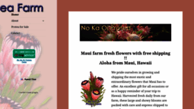 What Nokaoiprotea.com website looked like in 2019 (4 years ago)