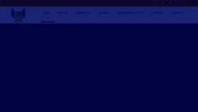 What Nim.ng website looked like in 2019 (5 years ago)