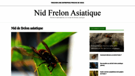 What Nid-frelon-asiatique.com website looked like in 2019 (4 years ago)
