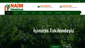 What Naimfidancilik.com.tr website looked like in 2019 (5 years ago)