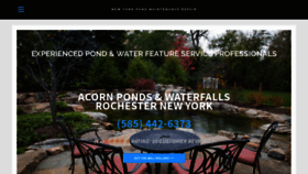 What New-york-pond-maintenance.repair website looked like in 2019 (4 years ago)