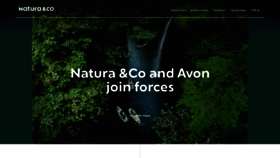 What Naturaeco.com website looked like in 2019 (4 years ago)