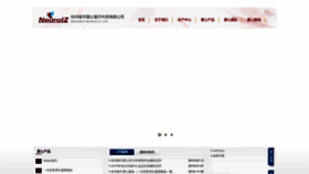 What Neuroiz.com.cn website looked like in 2019 (4 years ago)