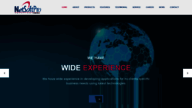 What Netsoftpro.com website looked like in 2020 (4 years ago)