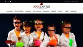 What Nartanesikoleji.com website looked like in 2020 (4 years ago)