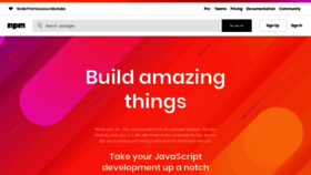 What Npmjs.com website looked like in 2020 (5 years ago)