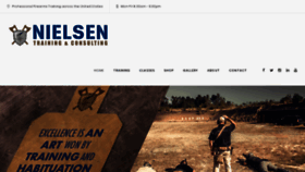 What Nielsentraining.com website looked like in 2020 (4 years ago)