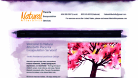 What Naturalafterbirth.com website looked like in 2020 (4 years ago)