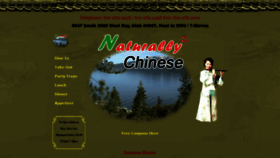What Naturallychinese.com website looked like in 2020 (4 years ago)