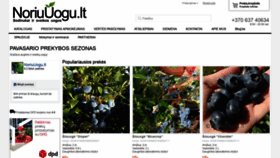 What Noriuuogu.lt website looked like in 2020 (4 years ago)