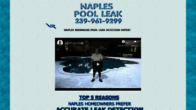 What Naplespoolleak.com website looked like in 2020 (4 years ago)