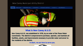 What Newcaneymud.org website looked like in 2020 (4 years ago)