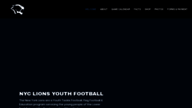 What Nyclions.nyc website looked like in 2020 (4 years ago)
