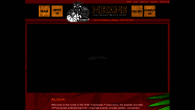 What Netane.com website looked like in 2020 (4 years ago)