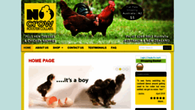 What Nocrowroostercollars.com.au website looked like in 2020 (4 years ago)