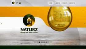 What Naturzgroup.com website looked like in 2020 (4 years ago)
