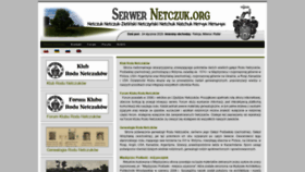 What Netczuk.org website looked like in 2020 (6 years ago)