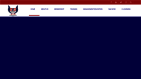 What Nim.ng website looked like in 2020 (5 years ago)