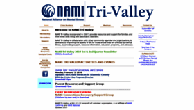 What Nami-trivalley.org website looked like in 2020 (4 years ago)