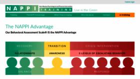 What Nappi-training.com website looked like in 2020 (4 years ago)