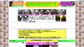 What Nakatasanchi.com website looked like in 2020 (4 years ago)