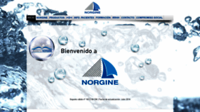 What Norgine.es website looked like in 2020 (4 years ago)