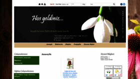 What Nazimtanrikulu.com website looked like in 2020 (4 years ago)