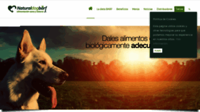 What Naturaldogbarf.com website looked like in 2020 (4 years ago)