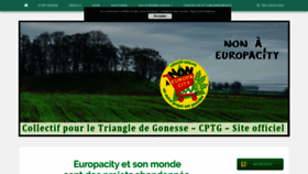 What Nonaeuropacity.com website looked like in 2020 (4 years ago)