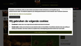 What Nederpix.nl website looked like in 2020 (4 years ago)