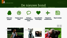 What Nieuwehond.nl website looked like in 2020 (4 years ago)